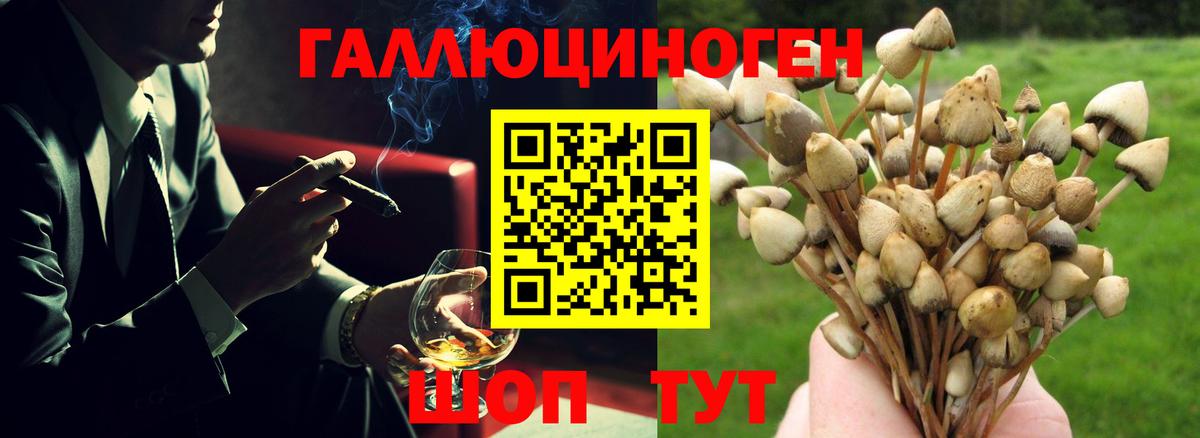 Псилоцибиновые грибы MAGIC MUSHROOMS Набережные Челны