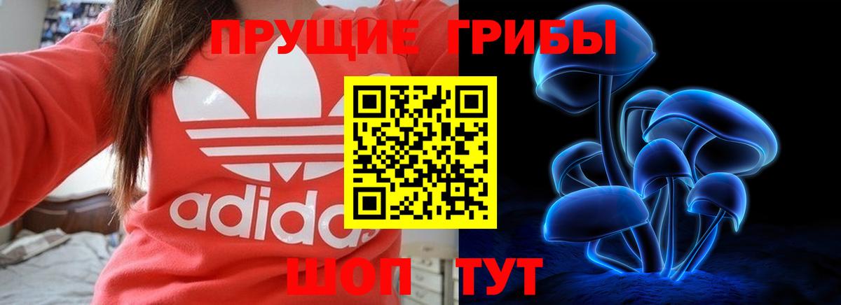 Галлюциногенные грибы Psilocybine cubensis  Вход с VPN  Набережные Челны  Псилоцибиновые грибы Psilocybe 